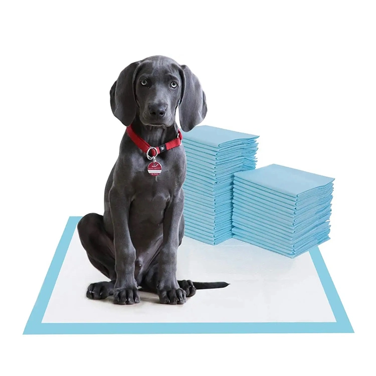 Disposable Pet Mat Puppy Training Mat Dog PEE Mat Dog Cooling Mat Puppy Bed Mat Pet Wee Mat PEE Mat PEE PEE Mat Pet Incontinence Mat Dog Diaper Changing Mat